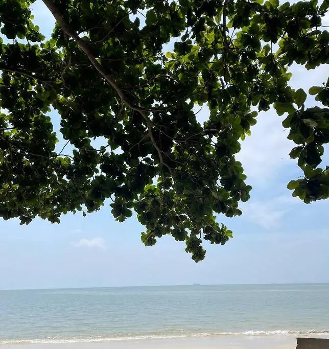 Beach Side Cozy Bungalow Tanjung Bungah
